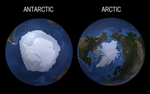 Kuzey Kutbu ve Antarktika Deniz Buzu: Nasıl Farklılar?