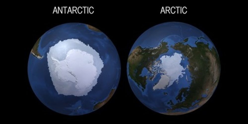 Kuzey Kutbu ve Antarktika Deniz Buzu: Nasıl Farklılar?